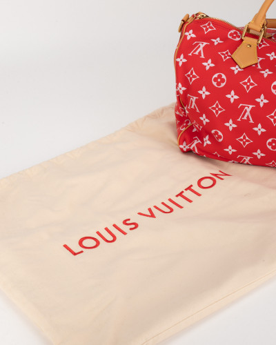 Louis Vuitton Podróżny