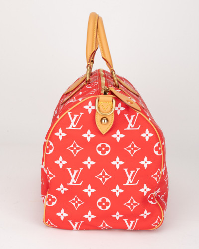 Louis Vuitton Podróżny