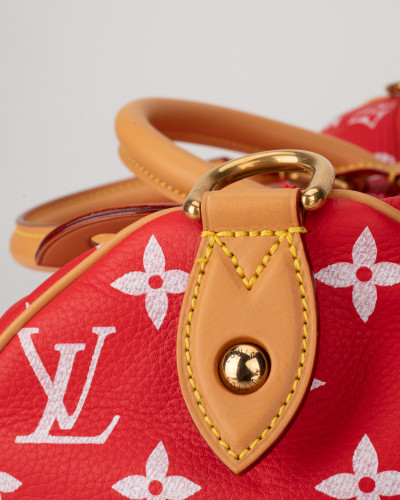 Louis Vuitton Podróżny